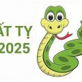 TT ẤT TỴ 2025